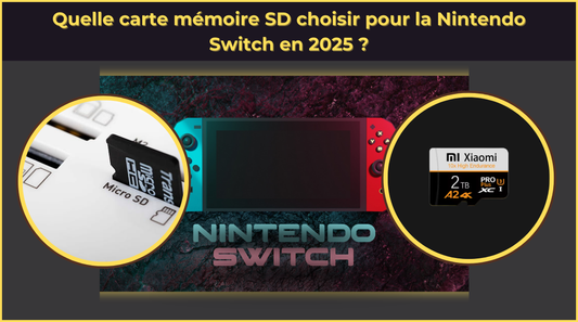 Quelle carte mémoire SD choisir pour la Nintendo Switch en 2025 ?